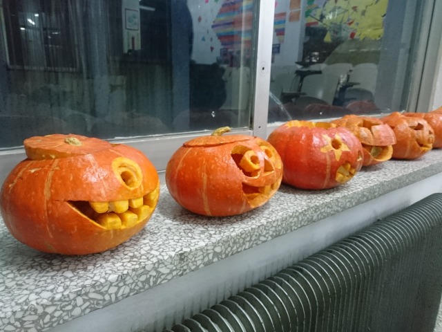 大連大学のかぼちゃの画像